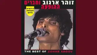 צל עץ תמר