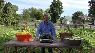 Super Abundant in 2020