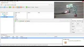 Client controls the Server Light over CoAP protocol