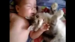 Our Cute Pets - Baby And Kitty