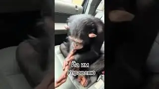 Ты как кто связан с даркгетом ?