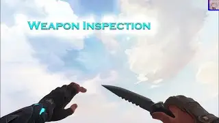 Weapon Inspection | Valorant