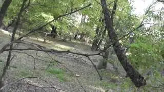 Осень 2014  Поиск монет
