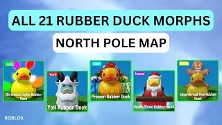 Find The Rubber Duck Morphs All Rubber Ducks in North Pole Map | Roblox