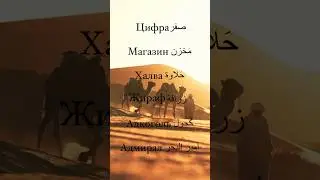Арабизмы в Русском языке