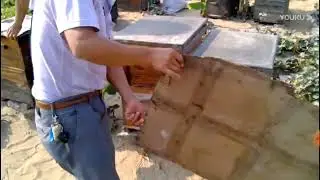 Китайское пчеловодство  Мёд made in China!