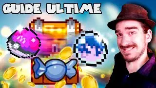 Les MEILLEURS items de Pokérogue et leur fonctionnement