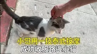 外國小哥路遇溫順的流浪貓，一招泰式按摩讓它臣服收養