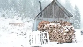 Off Grid Cabin Build Under $300 (Start to Finish)