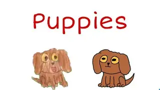 Puppies