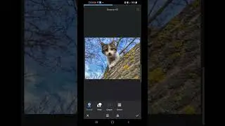 Как улучшить фотографию?