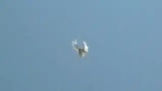 MOV006
