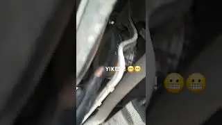 HARMONIC BALANCER ISSUES!!