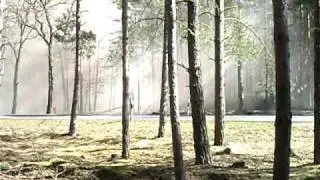 4 Bomben