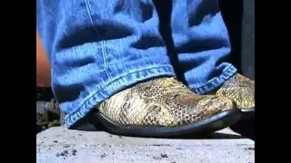 Five Scenes of Feet Wiggling Inside Boots