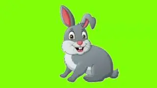 rabbit running talking green screen