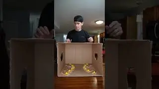 What's In The Box Challenge With Mousetraps!!