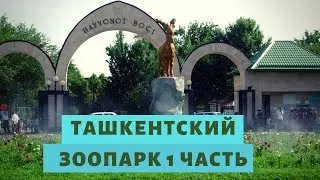 #Ташкент
