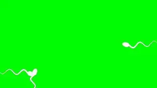 Sperm Swimming Green Screen Free