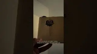 Продолжаю ежедневно упражняться. Сегодня аж 12 день!