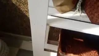 Не все дома.