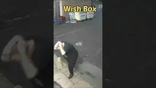 Голубь снёс кабину 😂 