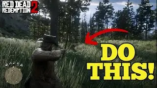 Don't Miss This Gem in Chapter 2 | Red Dead Redemption 2