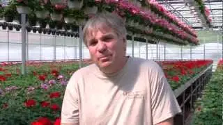 GGS Success Stories - Witzke's Greenhouses