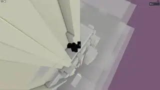 Cotton