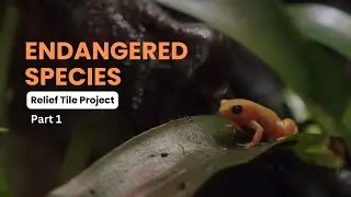 Endangered Species Relief Tile Project Part 1: Rolling a tile