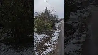Первый снег !!!