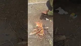 thandi lag gai puppy ko 🥲🥲#dogshorts #puppies #unboxing