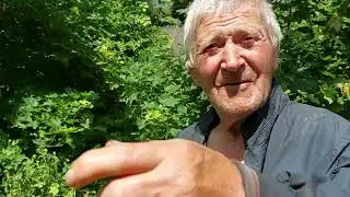 Ефимычу сделали электрическую проводку.