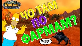 Что там с актуальными фармами WOTLK?