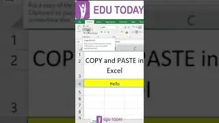 Excel Basic - Copy & Paste in Excel