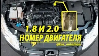Номер двигателя форд фокус2 1.8 и 2.0/serial number engine Ford Focus2 1.8 and 2.0