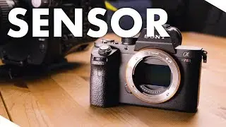 What is the sensor? - Sensor sizes explained simply - Camera sensor sizes