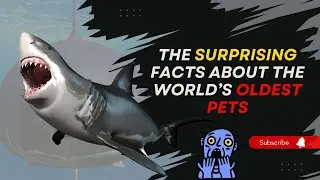 The Surprising Facts About The World’s Oldest Pets 😱😱