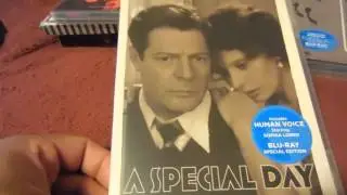 My B&N 50% OFF CRITERION SALE HAUL