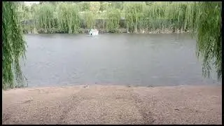 #lluvia