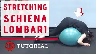 STRETCHING SCHIENA LOMBARE - con Fitball e Tappetino