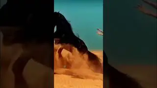 На связи Вселенная
