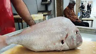 Cut kokho fish in Bushehr market,برش ماهی کوخو دربازار بوشهر