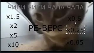 ЧИПИ ЧАПА ЧАПА ЧАПА х1, х1 5, х2, х5, х10, х0 5, х0 25, х0 05 И РЕ ВЁРС