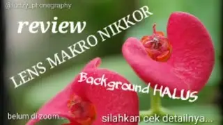 LENSBONG MAKRO UNTUK HANDPHONE