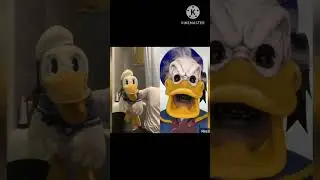 Donald Duck Freaks Out Again