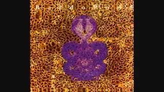 Bardo Pond -- The High Frequency