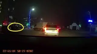 Собака не дотерпела и гадит посреди проезжей части