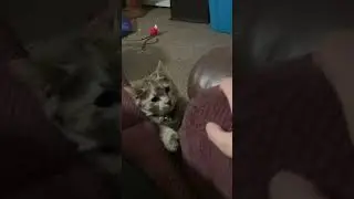 Play time