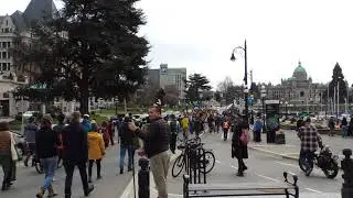 Heading Back to the Legislature March 27, 2021 Save Old Growth Forests